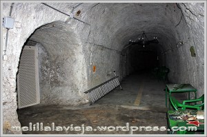 rosario03699 Cuevas de la Florentina