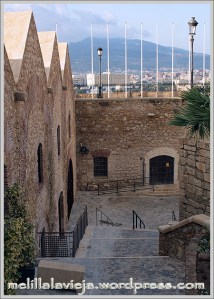 rosario03699 Maestranza de Ingenieros